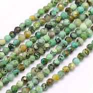 Natural African Turquoise(Jasper) Beads Strands, Faceted, Round, 2mm, Hole: 0.5mm, about 176~200pcs/strand, 15.7 inch(40cm)(G-F509-29-2mm)