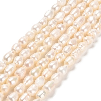 Natural Cultured Freshwater Pearl Beads Strands, Two Sides Polished, Grade 3A+, Linen, 5~10x4.5~6mm, Hole: 0.6mm, about 45~48pcs/strand, 13.27~13.46 inch(33.7~34.2cm)