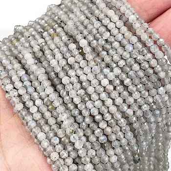 Natural Labradorite Beads Strands, Faceted, Round, 3.5mm, Hole: 0.8mm, about 122pcs/strand, 15.43''(39.2cm)