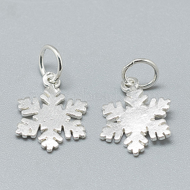 925 Sterling Silver Charms(X-STER-T002-290S)-2