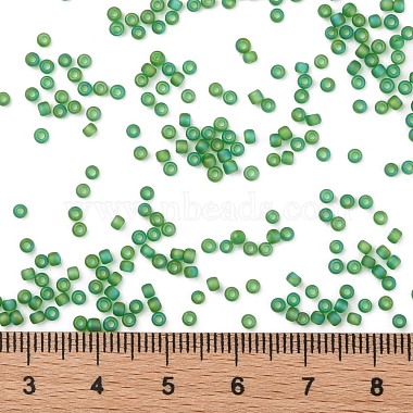 TOHO Round Seed Beads(SEED-JPTR11-0167BF)-4
