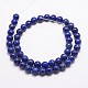 Natural Lapis Lazuli Bead Strands(G-G953-01-10mm)-4