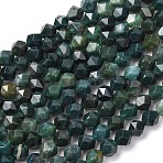 Natural Moss Agate Beads Strands, Star Cut Round Beads, Faceted, 5~6mm, Hole: 1mm, about 61pcs/strand, 14.92''(37.9cm)(G-F523-37-6mm)