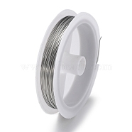 10 Rolls 304 Stainless Steel Wire, Round, for Wire Wrapping Jewelry Making, Stainless Steel Color, 22 Gauge(0.6mm), about 65.62 Feet(20m)/roll(TWIR-H001-01C-P)