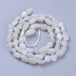 Natural White Moonstone Beads Strands, Tumbled Stone, Nuggets, 5~11x4~6mm, Hole: 1mm, about 56~58pcs/strand, 15.4 inch(39cm)(X-G-P433-16)