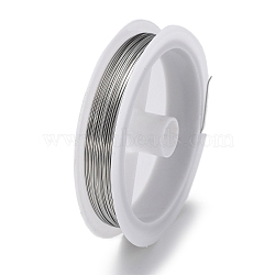 Non-Tarnish 10 Rolls 304 Stainless Steel Wire, Round, for Wire Wrapping Jewelry Making, Stainless Steel Color, 22 Gauge(0.6mm), about 65.62 Feet(20m)/roll(TWIR-H001-01C-P)