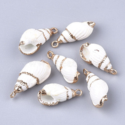 Electroplate Spiral Shell Pendants, with Iron Findings, Golden, White, 18~25x8~11x8~10mm, Hole: 1.8mm(SSHEL-S251-15)