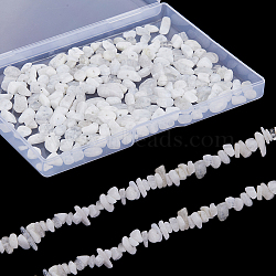2 Strands Natural Rainbow Moonstone Chip Beads Strands, 5~8x5~8mm, Hole: 1mm, about 31.5 inch(G-SC0002-51)