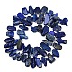 Natural Lapis Lazuli Beads Strands(G-L657-E01-01)-3