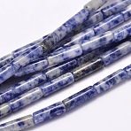 Natural Blue Spot Jasper Column Beads Strands, 13~14x4~5mm, Hole: 1mm, about 29pcs/strand, 15.7 inch(X-G-F247-02)