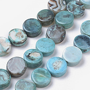 Natural Agate Beads Strands, Dyed & Heated, Flat Round, Light Sky Blue, 16x6mm, Hole: 0.8mm, about 25pcs/strand, 15.55 inch(39.5cm)(TDZI-G012-49)