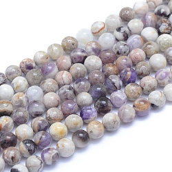 Natural Chevron Amethyst Beads Strands, Round, 6~6.5mm, Hole: 0.8mm, about 66pcs/strand, 15.35 inch(39cm)(X-G-L552H-06A)