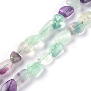 Natural Fluorite Beads Strands, Tumbled Stone, Nuggets, 6~15x6~11mm, Hole: 1mm, about 38pcs/strand, 15.7 inch(40cm)(G-L493-11)
