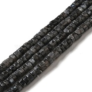 Natural Larvikite Beads Strands, Disc, Heishi Beads, 1.4~2.5x4~4.5mm, Hole: 0.8mm, about 167pcs/strand, 14.88''(37.8cm)(G-H230-51)