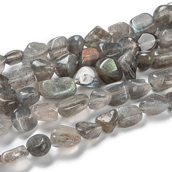 Natural Labradorite Beads Strands, Nuggets, Tumbled Stone, 5~8.5x5.5~7x3.5~4mm, Hole: 0.7mm, about 64pcs/strand, 16.34''(41.5cm)