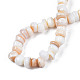 Natural Trochid Shell/Trochus Shell Beads Strands(SHEL-S258-081-A01)-4