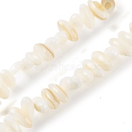 Natural Anomaly Freshwater Shell Beads Strands, Floral White, 4~5.5x10~12x4.5~5mm, Hole: 0.7mm, about 80~82pcs/strand, 14.57''(37~37.5cm)(BSHE-S304-05A)