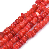 Natural Trochid Shell/Trochus Shell Beads Strands, Dyed, Flat Round, Tomato, 5~10x1~7mm, Hole: 1mm, about 94pcs/strand, 14.96''(38cm)(SHEL-S258-081-B06)