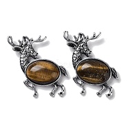 Alloy Elk Brooches, with Natural Tiger Eye, Antique Silver, 49.5x49x14mm(JEWB-A021-02AS-08)
