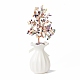 Natural Gemstone Chips with Brass Wrapped Wire Money Tree on Ceramic Vase Display Decorations(DJEW-B007-01D)-2