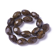 Natural Bronzite Beads Strands, Faceted, Oval, 22~28x14~19mm, Hole: 1.8mm, about 16pcs/strand, 16.14 inch(G-P422-14)