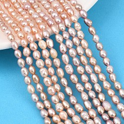 Natural Cultured Freshwater Pearl Beads Strands, Rice, Grade 3A, Thistle, 4.5~5mm, Hole: 0.6mm, about 62~65pcs/strand, 13.98~14.17''(35.5~36cm)(PEAR-F020-11)
