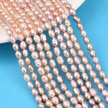 Natural Cultured Freshwater Pearl Beads Strands, Rice, Grade 3A, Thistle, 4.5~5mm, Hole: 0.6mm, about 62~65pcs/strand, 13.98~14.17''(35.5~36cm)