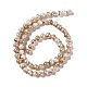 Drawbench Style Natural Freshwater Shell Beads Strands(SHEL-F003-10B)-3