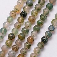 Natural Moss Agate Bead Strands, Round, 3~3.5mm, Hole: 0.7mm, about 115~125pcs/strand, 16 inch(G-K146-07-3mm)