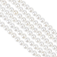 2 Strands Shell Pearl Beads Strands, Grade A, Round, White, 4mm, Hole: 1mm, about 95pcs/strand, 16 inch(BSHE-GO0001-03)