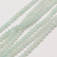 Natural Amazonite Round Bead Strands, 2mm, Hole: 0.8mm, about 184pcs/strand, 16 inch(X-G-A130-2mm-14)