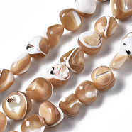Natural Trochid Shell/Trochus Shell Beads Strands, Nuggets, BurlyWood, 4~12x7~9x4~8mm, Hole: 0.7mm, about 50~54pcs/strand, 15.35 inch(39cm)(SSHEL-S266-015B)