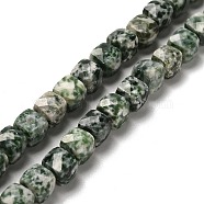 Natural Green Spot Jasper Beads Strands, Faceted, Cube, 6.5~7.5x6.5~7.5x6.5~7.5mm, Hole: 1.2mm, about 57~58pcs/strand, 15.35~15.55 inch(39~39.5cm)(G-H078-C27-01)