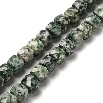 Natural Green Spot Jasper Beads Strands, Faceted, Cube, 6.5~7.5x6.5~7.5x6.5~7.5mm, Hole: 1.2mm, about 57~58pcs/strand, 15.35~15.55 inch(39~39.5cm)