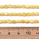 Dyed Natural Freshwater Shell Beads Strands(SH-CBA2978-06B)-4