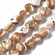 Chapelets de perles de coquille de trochid / trochus coquille(SSHEL-S266-015B)-1