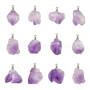 12Pcs 2 Style Rough Raw Natural Amethyst Pendants, with Stainless Steel Snap On Bails, Nuggets, 6pcs/style(G-BC0001-04)