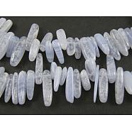 Natural Blue Lace Agate Beads Strands, 12~22x5~7mm, Hole: 1mm, 16 inch(X-G416-A14)