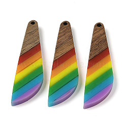 Pride Rainbow Theme Resin & Walnut Wood Pendants, Teardrop, 53x13.5x3.5mm, Hole: 2mm(WOOD-K012-12B)