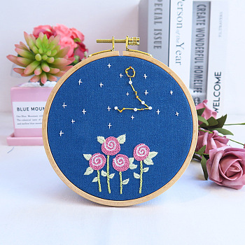 Flower & Constellation Pattern 3D Bead Embroidery Starter Kits, including Embroidery Fabric & Thread, Needle, Instruction Sheet, Pisces, 200x200mm