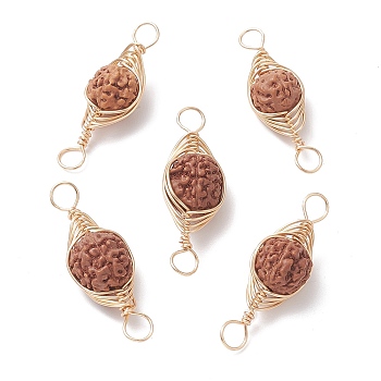 Natural Rudraksha Copper Wire Wrapped Connector Charms, Oval Links, Undyed, Golden, 25~33x10~11.5x9~10mm, Hole: 4mm