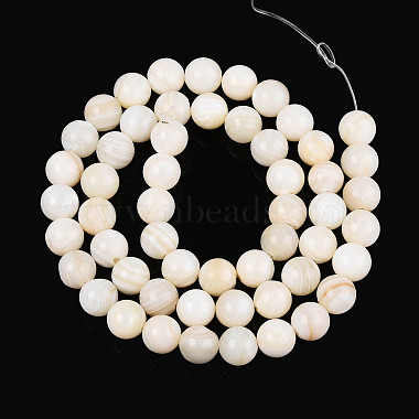 Natural Freshwater Shell Beads Strands(SHEL-N038-05)-2