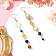 Chakra Theme Natural & Synthetic Mixed Gemstone Beads Dangle Earrings(EJEW-TA00382)-2