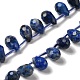 Natural Lapis Lazuli Beads Strands(G-H297-B02-01)-1