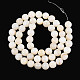 Natural Freshwater Shell Beads Strands(SHEL-N038-05)-2