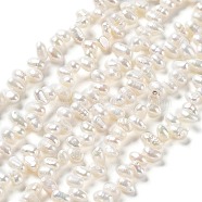 Natural Cultured Freshwater Pearl Beads Strands, Rice, Antique White, 5~7x4~4.5mm, Hole: 0.6mm, about 90pcs/strand, 12.80''(32.5cm)(PEAR-E019-05)