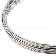 Niobium Wire, Round, Raw(Unplated), 20 Gauge, 0.8mm, about 16.40 Feet(5m)/Bundle(TWIR-WH0002-19B)