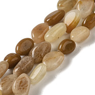 Natural Topaz Jade Beads Strands, Nuggets, Tumbled Stone, 9~13x6~8x4~6mm, Hole: 1mm, about 38pcs/strand, 15.75''(40cm)(G-B078-B02-01)