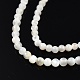 Brins de perles de coquillage blanc naturel(X-SSHEL-N003-144A-01)-3