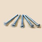 304 Stainless Steel Screws, Stainless Steel Color, 42x19.5x8mm(STAS-WH0044-58)